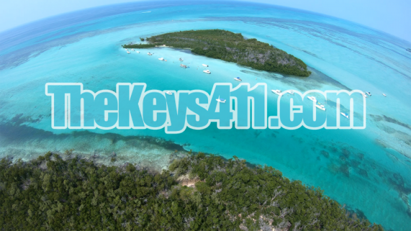 https://web1.tikilive.com/public/files/shows/806/806607/55567-800x450-FFFFFF.jpg