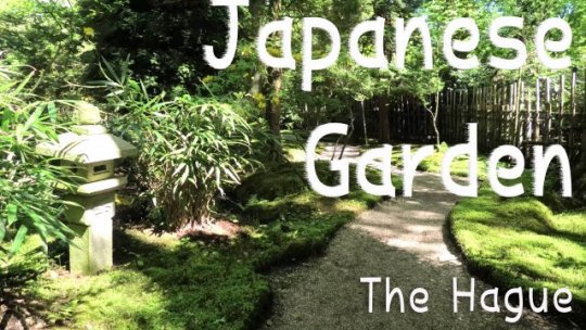 Japanese Garden in Clingendael Park. The Hague (Den Haag) Netherlands. National historical monuments