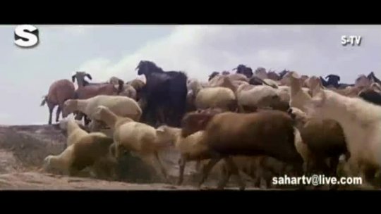 Jab Se Tumko Dekha Hai Sanam Kumar Sanu Rishi Kapoor Full Song Video  Damini