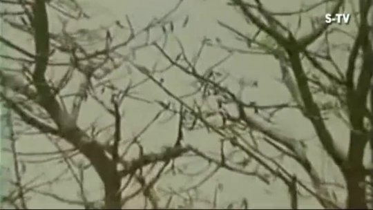 Mera Jeevan Kora kagaz korahi reh gaya Kishore Kumar Kora Kagaz (1974