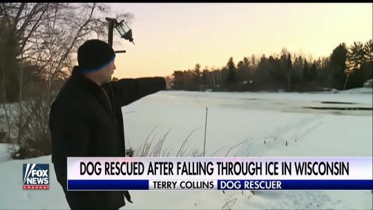 Dog rescued after falling through ice in Wisconsin