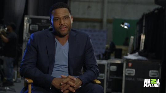 Watch Anthony Anderson Ace Our Animal Trivia Quiz