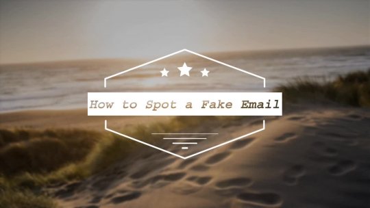 How to Spot a Fake Email